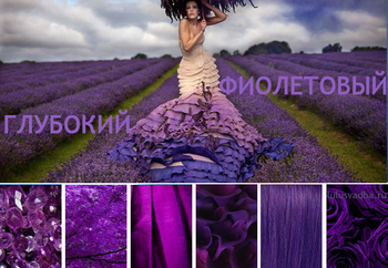 Фиолетовый цвет свадьбы и вся глубина отттенков